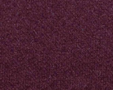 amii-1368.jpg